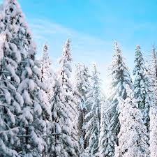 Looking for high quality headphones? Fat Biking Routt County Riders