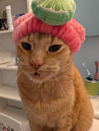 Camaro Z28 potential and aftermarket discussion