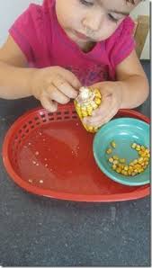 Make these recycled instruments in less than 5 minutes for big noise fun! 13 Corn Themed Toddler Activities Ideas Toddler Activities Activities Corn