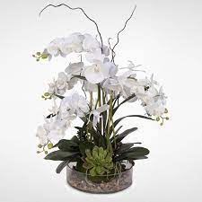 White Phalaenopsis Orchid With Succulents And Rocks In A Glass Pot Walmart Com Potted Orchid Centerpiece Orchid Flower Arrangements Phalaenopsis Orchid