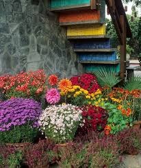 › best flowers for porch pots. Alan Titchmarsh On Colourful Garden Plant Containers Express Co Uk