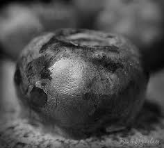 Abstract Black And White Macro Photography 11 Macro Photography Ideas You Ve Never Thought Of How To Find Them Macro Photography Photography Black White