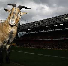 Geißbock hennes viii., der star unter den deutschen fußballmaskottchen, wechselt zum ende der saison vom 1. 1 Fc Koln Hennes 1 Fc Koln Wikipedia Fc Koln To A Friend
