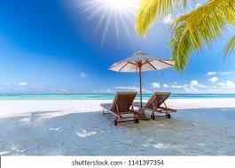 Amazing Tropical Landscape Summer Scene Lounge Stock Photo 1141397354 | Shutterstock