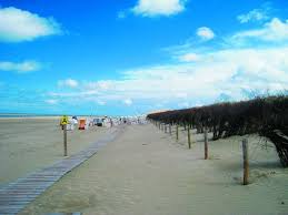 瓦登海陸地、海洋與人的交會/2014年十二月號-動| 國家公園署主題網