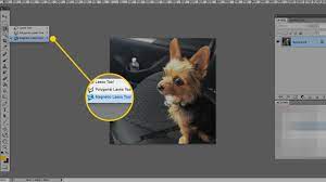 Check spelling or type a new query. How To Use The Magnetic Lasso Tool In Adobe Photoshop