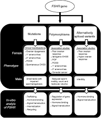 We did not find results for: Mutations And Polymorphisms In Fsh Receptor Functional Implications In Human Reproduction In Reproduction Volume 146 Issue 6 2013