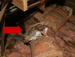 It could be purchased locally and could be installed by contractor or homeowner. Vermiculite Attic Insulation Containing Asbestos Also Sold Under The Brand Name Zonolite Canadian Haz Mat Environmental