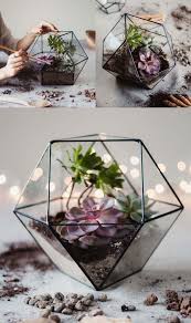 How To Plant A Terrarium Waen Diy Succulent Terrarium How To Make Terrariums Succulents Diy