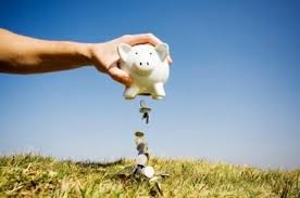 Anunț de la agenția de plăți și intervenție pentru agricultură pentru șase județe ale țării. 900 Lei SubvenÈia Apia Pe Care O PrimiÈi DacÄ DeÈineÈi Un Singur Animal In FermÄ Stiri Din Mures Stiri Targu Mures Liderul Presei Muresene