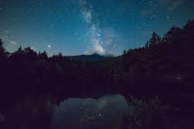 4k Wallpaper Calm Waters Dark Scenic View Of Forest During Night Time 4k Wallpapers For Pc Hd Wallpapers For Mobile Nature Wallpaper