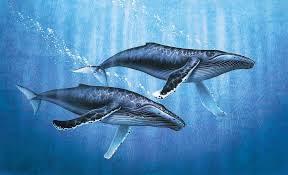 Humpback Whales By Jq Licensing In 2021 Whale Painting Whale Art Humpback Whale