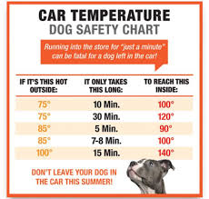 14 Cogent Dog In Car Temperature Chart