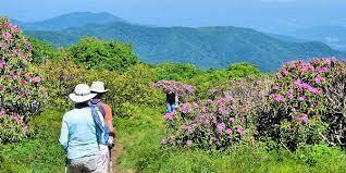 But when it's hot that moderate descent turns into a tougher, completely. Craggy Gardens Blue Ridge Parkway