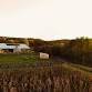 Apple Pressing Day