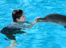 Yet, like it's predecessor, things take a turn for the worst to. Dolphin Tale Movie Review Film Summary 2011 Roger Ebert