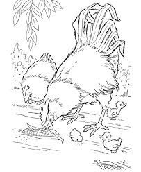 Awesome Printable Lots Of Animal Coloring Pages Gallery 17 R Farm Animals Coloring Page Farm Animal Coloring Pages Farm Coloring Pages Chicken Coloring Pages