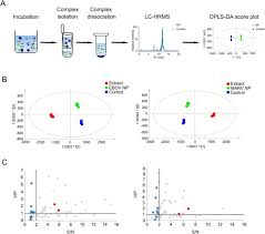 Feb 15, 2018 · marburg virus is the causative agent of marburg virus disease (mvd), a disease with a case fatality ratio of up to 88%. Novel Chemical Ligands To Ebola Virus And Marburg Virus Nucleoproteins Identified By Combining Affinity Mass Spectrometry And Metabolomics Approaches Scientific Reports