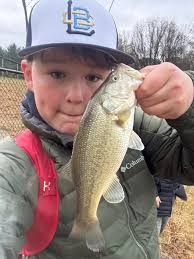 What fish should I add next to my pond?