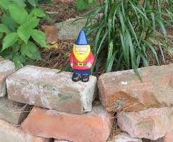 Diy craft ideas eggs carton for the table gardening. Garden Craft Ideas For Senior Living S S Blog