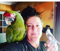 Trustworthy animal sitter with experience