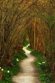 What Does Agnostic Mean Psychology Today