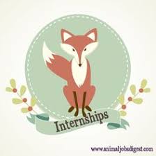 73 Wishes For Wildlife Animals Ideas Wildlife Animals Animals Wildlife