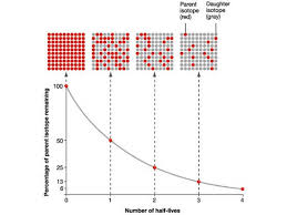 Also known as radiocarbon, it is an isotopic chronometer. How Do We Know That The Half Life Of Carbon 14 Is 5730 Years And How Does Finding Out The Ration Between C12 And C14 Pertain To Radiocarbon Dating Quora