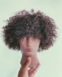 Torus shape used to create this...