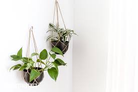 With its unique ribbed galvanized metal texture, this plant holder is perfect for housing any of your favorite plants or flowers. Diy Hanging Planter From A Metal Bowl