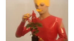 Bildergebnis für Cristiano Lenhardt