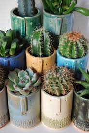 Below you'll find over 100 succulent varieties and information about their specific care needs. Http Atelierstella Tumblr Com Large Succulent Plants Indoor Cactus Plants Succulents