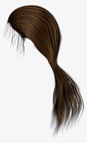 Free club penguin accounts (members and non hi rachel, i beg u please give me a member account. The Side Swept Club Penguin With Hair Png Image Transparent Png Free Download On Seekpng