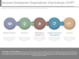 Business Development Organizational Chart Example Of Ppt