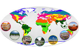 Pt nina venus indonusa is a supplier in , indonesia. Nasa Earth Observatory Home