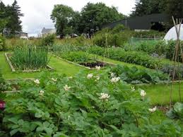 Using Crop Rotation In Home Vegetable Gardens Snohomish