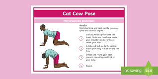 Vicki is going to come on to her hands and knees. Yoga Cat Cow Pose Step By Step Instructions Teacher Made