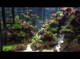 Check spelling or type a new query. 14 Waterfal Ideas Aquascape Aquarium Sand Fresh Water Fish Tank