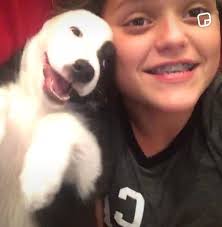 Camping with kids and firewood