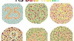 Maybe you would like to learn more about one of these? Cara Agar Lolos Tes Buta Warna Contoh Tes Buta Warna Dan Jawabannya