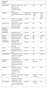 Akan tetapi, sel hewan dan tumbuhan memiliki beberapa perbedaan dan persamaan. Tabel Struktur Sel Hewan Dan Tumbuhan
