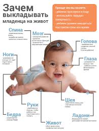 Kak Vykladyvat Novorozhdennogo Rebenka Na Zhivotik Kogda Mozhno Nachinat I Kak Pravilno Eto Delat
