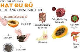 Maybe you would like to learn more about one of these? Ä'u Ä'á»§ Tac Dá»¥ng Va Cach Dung La Hoa Quáº£ Ä'u Ä'á»§ Tá»'t Nháº¥t Bá»‡nh Viá»‡n Y DÆ°á»£c Cá»• Truyá»n VÄ©nh Phuc