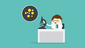 Top lnh abbreviation meanings updated december 2020. Diagnostico De Los Linfomas Roche Pacientes