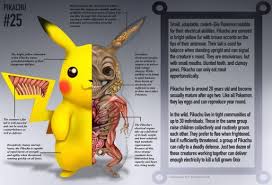 1280 x 720 jpeg 354 кб. Pokemon Anatomy Dump Album On Imgur