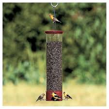 But did you check ebay? Droll Yankees Yankee Dipper Collapsing Straight Perch Squirrel Proof Bird Feeder Red 21 Target
