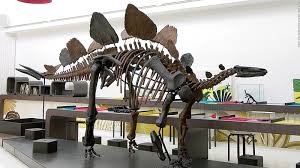 10 Of The World S Best Dinosaur Museums Cnn Travel
