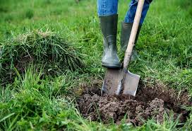 We did not find results for: How To Level A Yard Lawn Or Garden Steps And Tips Zacs Garden