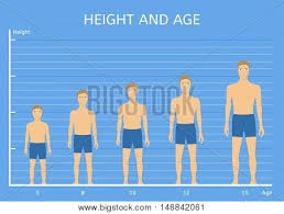 The average height measurement for this age group boys is 122.03 cms, according to the cdc. Height Age Boys Vector Photo Free Trial Bigstock