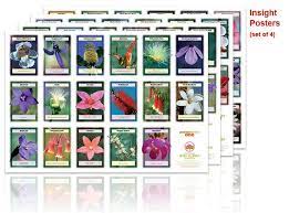Best Of Australian Bush Flower Essences Insight Cards And View Flower Essences Flower Remedy Flower Essences Remedies